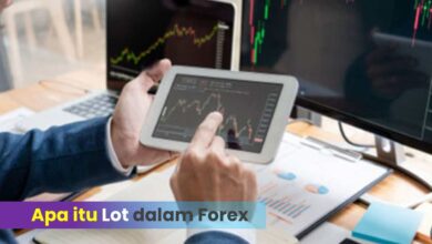 Apa Itu Lot Dalam Forex