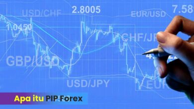 Apa Itu Pip Forex