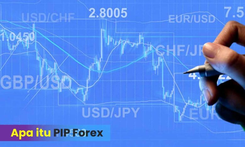 Apa Itu Pip Forex