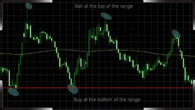 Teknik Trading Forex Tanpa Loss